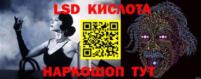 ешки Краснодар