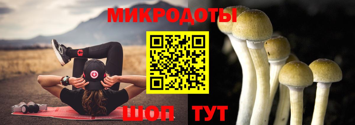 Киров  Псилоцибиновые грибы мухоморы  Вход с VPN  Псилоцибиновые грибы GOLDEN TEACHER 